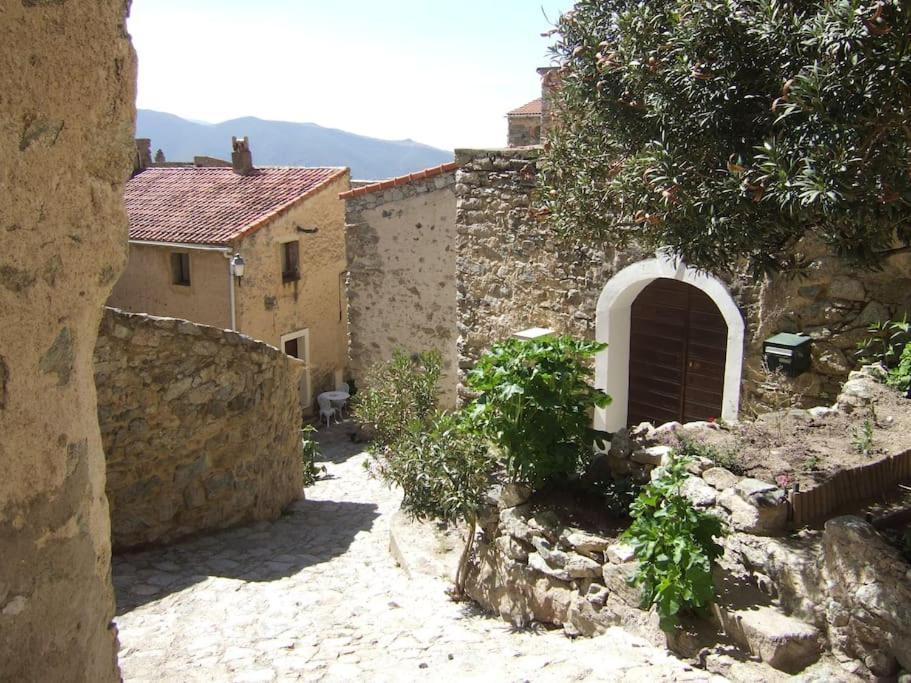 Vos vacances à Lama ( Corse ) Du SAMEDI au SAMEDI Exterior foto