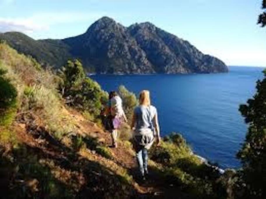 Vos vacances à Lama ( Corse ) Du SAMEDI au SAMEDI Exterior foto