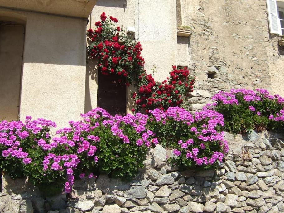 Vos vacances à Lama ( Corse ) Du SAMEDI au SAMEDI Exterior foto