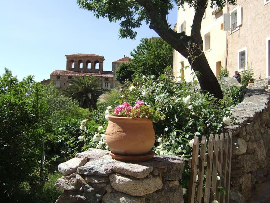 Vos vacances à Lama ( Corse ) Du SAMEDI au SAMEDI Exterior foto